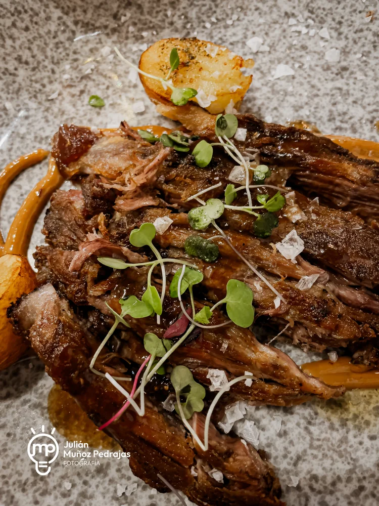 Detalle de carne con brotes, escamas de sal y patatas